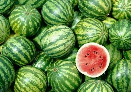 西藏瓜适合怎么吃,解锁高原美味新体验  第2张