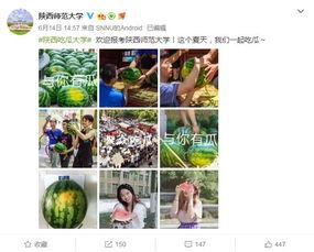 各高校吃瓜网站,揭秘各大校园吃瓜网站热点事件盘点  第1张